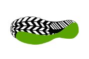 supination3 supination3